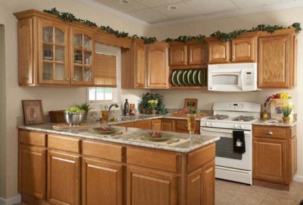 Overstock Kitchen Cabinets Pictures 442x300 