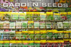 vegetable seeds picture