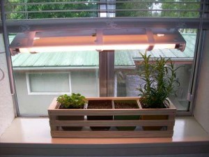 indoor herb garden light