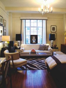 small apartment living room design