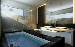 stylish bath room