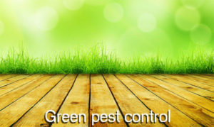 green pest control illustration